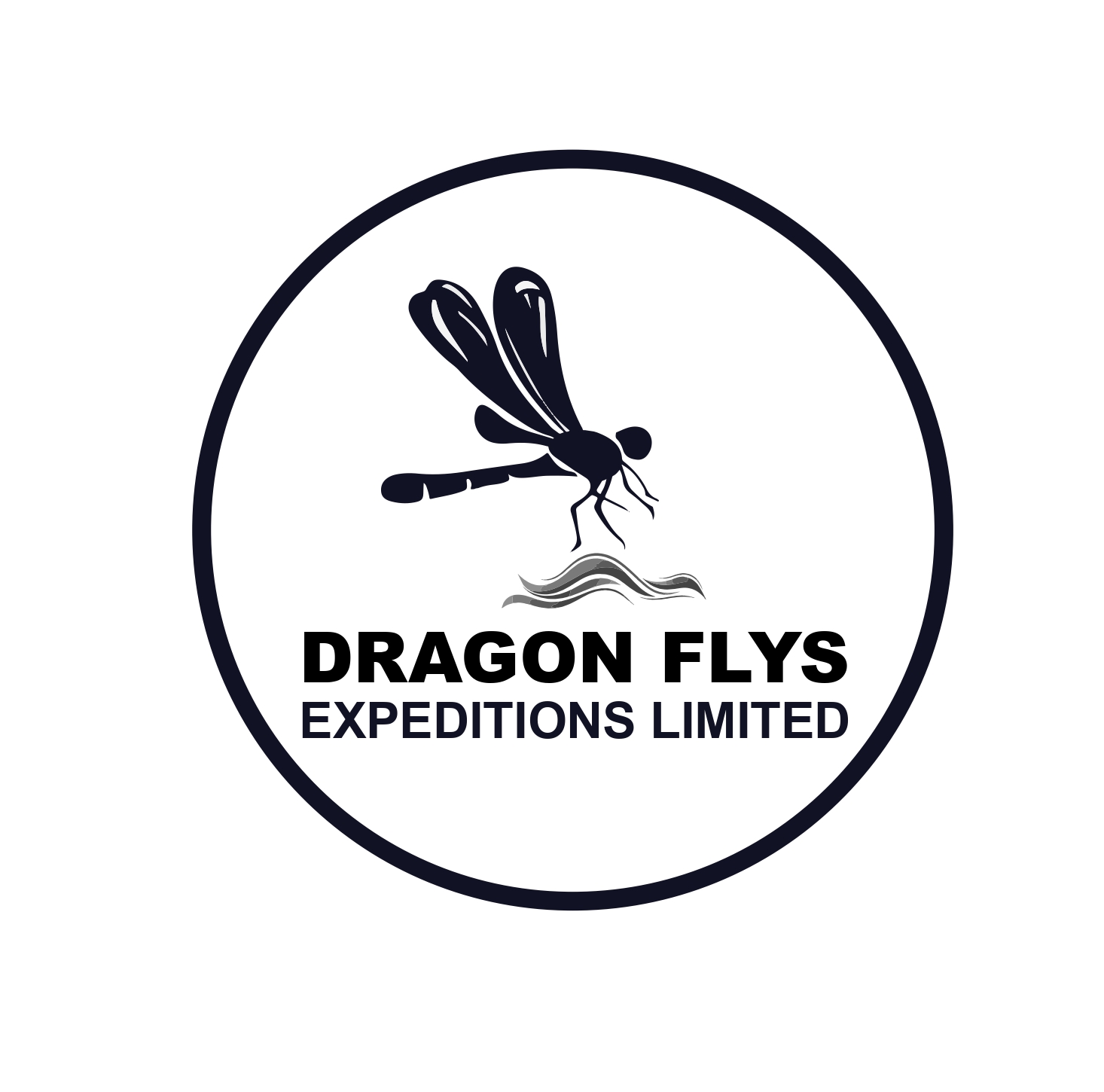 Dragon Flys Expeditions Logo